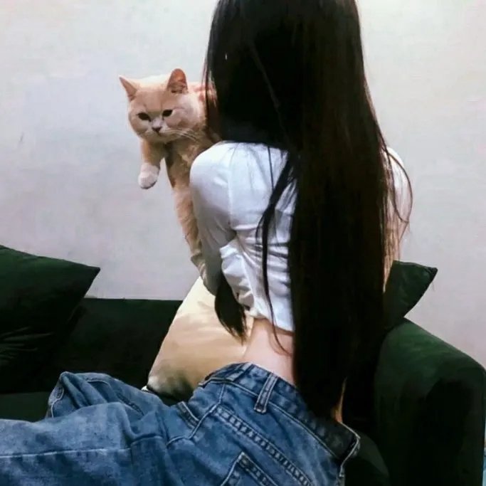 妖精的旋律